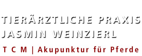 Akupunktur_Tierarzt