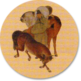 Akupunktur fuerPferde